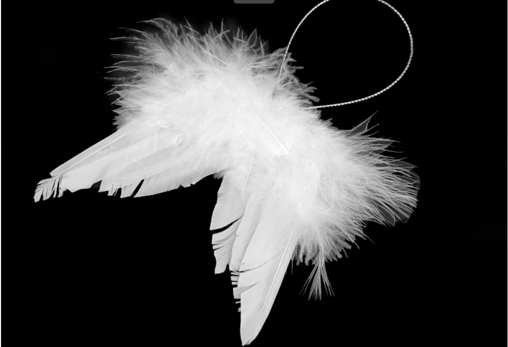 Anjelské krídla biele